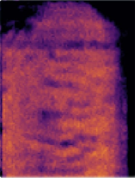 Ultrasonic C-scan of a battery cell